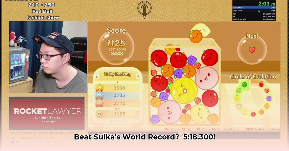 suika-game-world-record